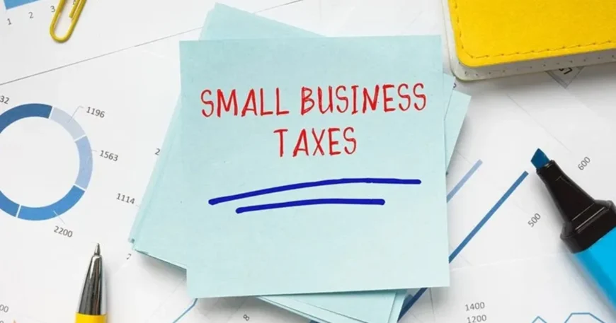 small business tax
