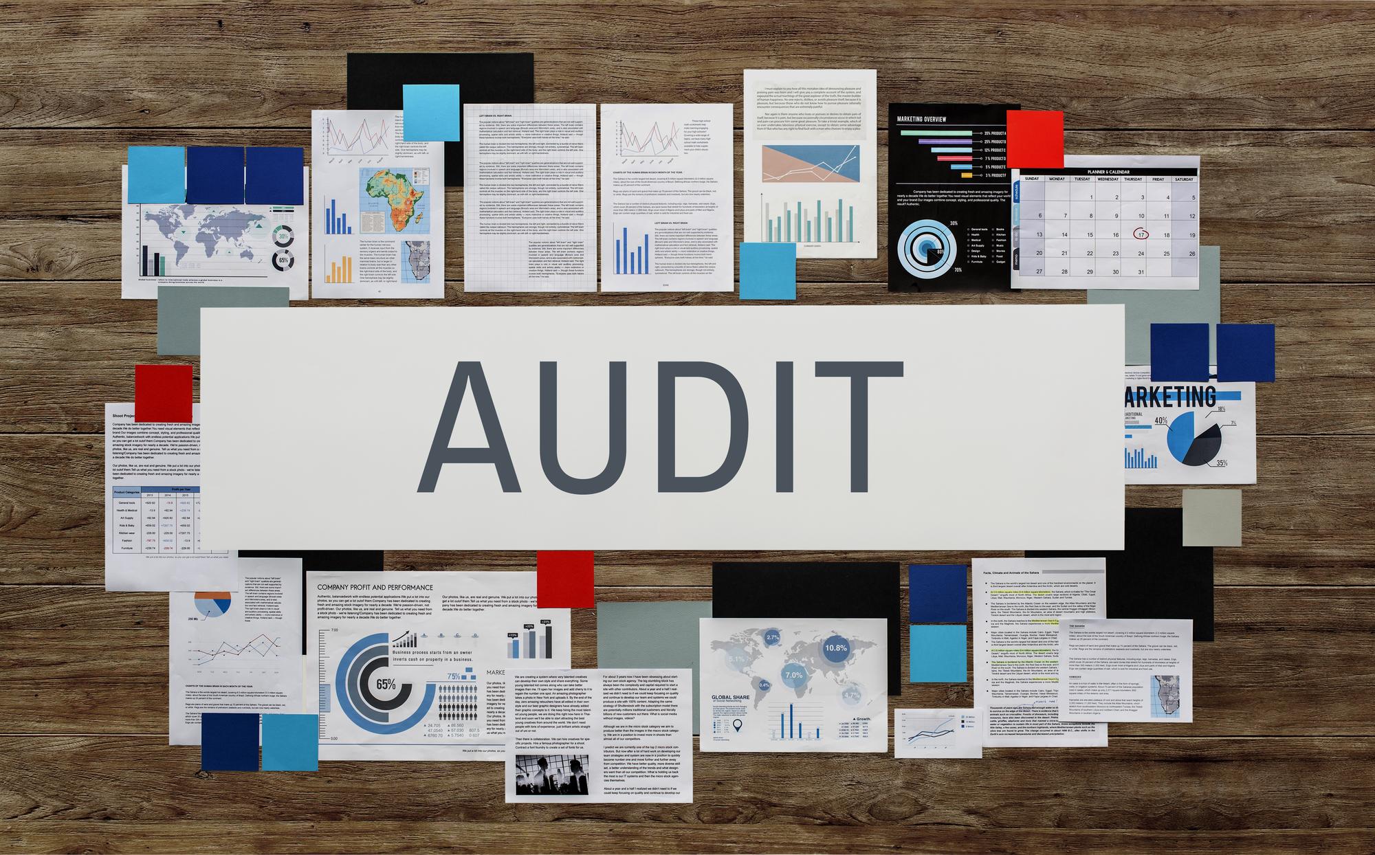 IRS Audit Surge
