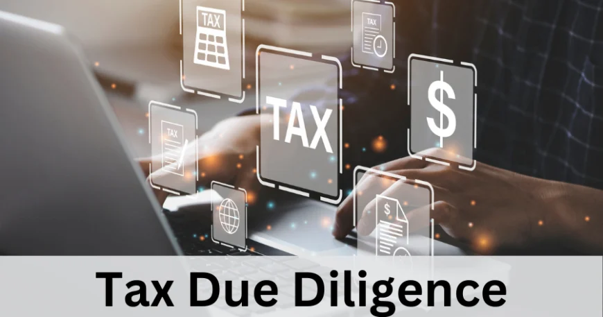 Tax Due Diligence