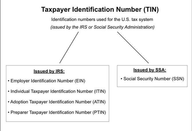 Federal ID Number Vs TIN