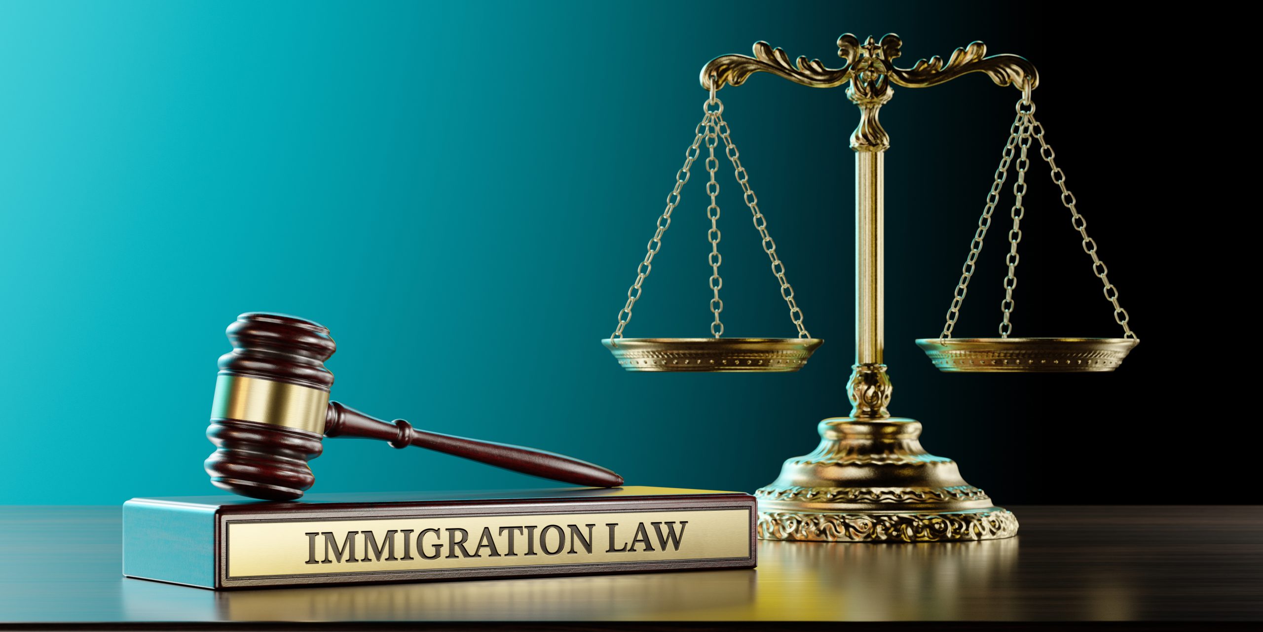 Blogs 22 Immigration Law