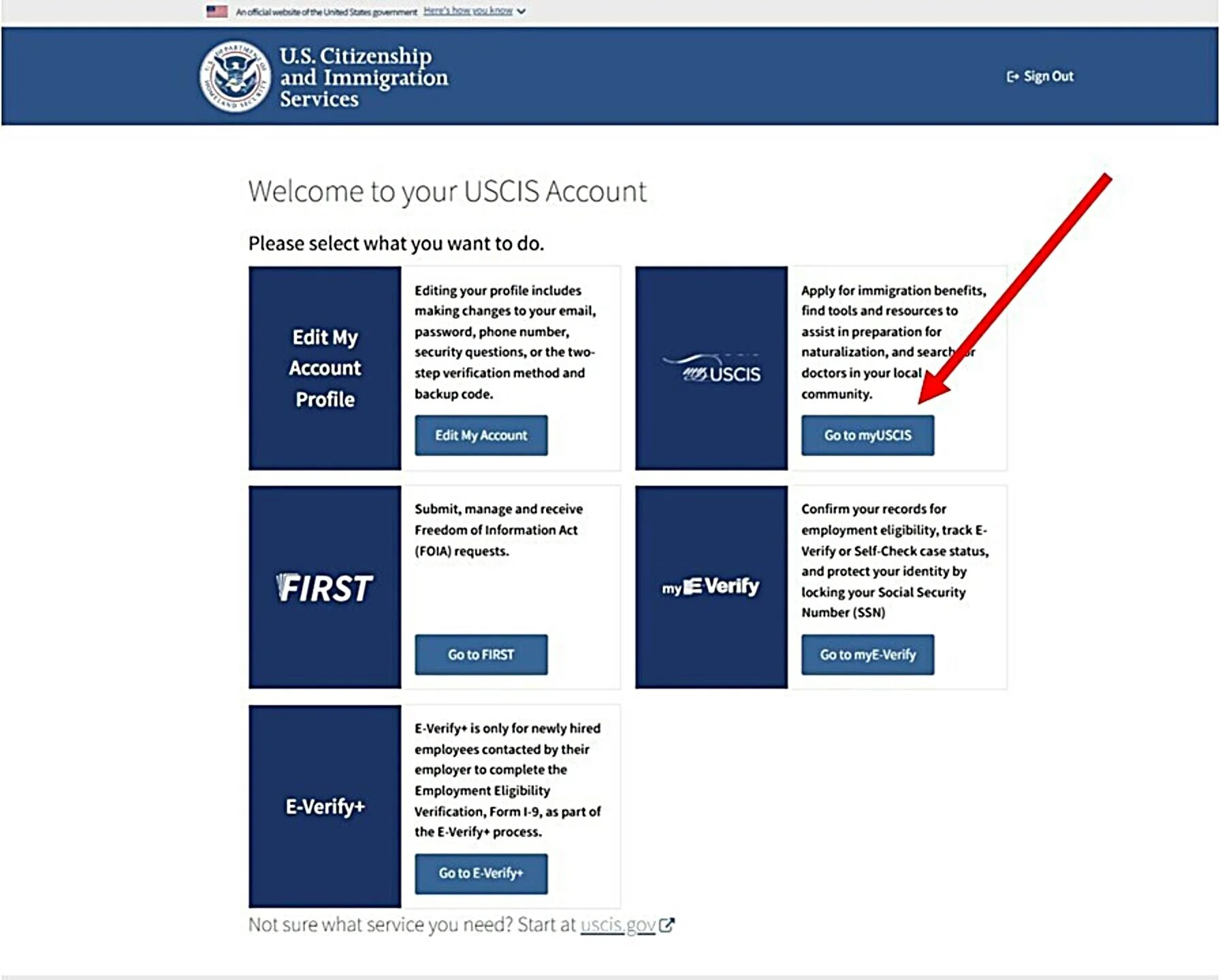 Blogs 24 My USCIS